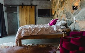 Casa Fenix